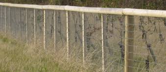 Image result for non climb fence