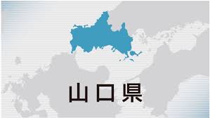 中国新聞デジタル - News update