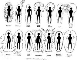 Image result for Human aura