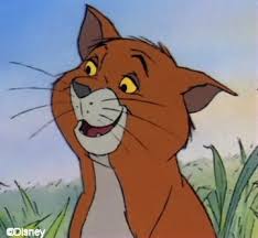 Image result for tom o'malley
