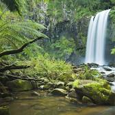 Great Otway National Park