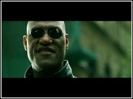 images?q=tbn:ANd9GcSNnL_4vcUKvEQcMkPP0kssvdW4lsoMvD8hK923osG-sSfUsulSZQ