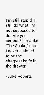 Jake Roberts Quotes &amp; Sayings (Page 3) via Relatably.com