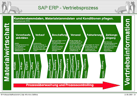 Professor Steffens GmbH / SAP ERP SD - SAP-Vertrieb_gr