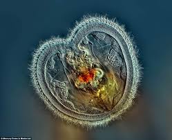 Image result for pictures gallery for amazing wonders of the world