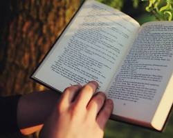 person reading a motivational book