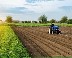 Commercial farming