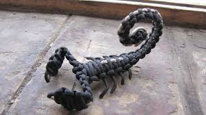 Image result for paracord