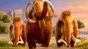 Résultat de recherche d'images pour "pourquoi j'ai pas mangé mon père"