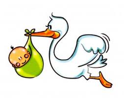 Resultado de imagem para bebe na cegonha imagens