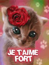 Résultat de recherche d'images pour "chiot qui bouge"