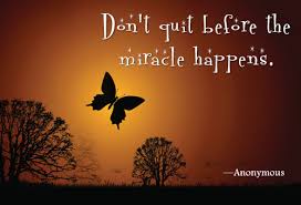 miracle-butterflies-quote.jpg via Relatably.com