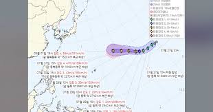 태풍 돌핀