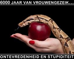 Afbeeldingsresultaat voor verzorgede vagina