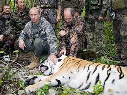 Image result for kerry putin