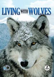 Image result for wolves