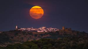 National Geographic - News update