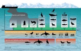 Image result for "Exxon Valdez"