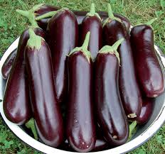Image result for organic eggplant images