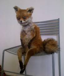 images?q=tbn:ANd9GcSOkJ7xXGFQTYjceLYXnlvHMi9Qj_BsGOPkK9xgTqFkxq1YUZrcAw