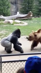 Hahaha pinagtaksilan pla. #everyonehighlightsfollowers ...