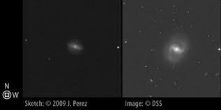 Image result for m91 galaxy