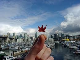 Résultat de recherche d'images pour "canada curiosidades"