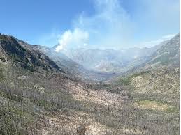 Lake Chelan Now - News update
