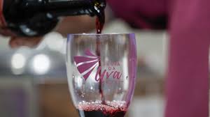 Espetáculo de drones, espaço geek e até discoteca: Festa da Uva começa nesta quinta-feira com experiências diversificadas