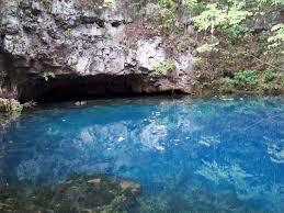 Image result for "Round Spring"