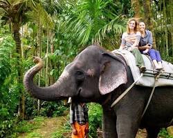 Image of Elephant rides, Thekkady