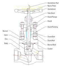 Globe Valve | 필슨엔지니어링