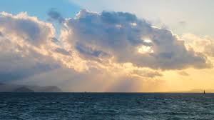 Year in Search 2025: Key Trends and Insights