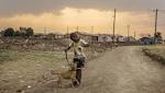 Dogs shielding youth from township
