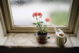 ���� ���� ������ �� ���� ������