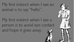 My first instinct when I see an animal is to say hello. My first ... via Relatably.com