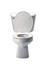 Image result for toilet images