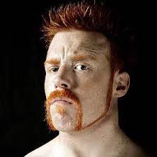 Sheamus - wwe Photo. Sheamus. Fan of it? 2 Fans. Submitted by asmaortonfan over a year ago - Sheamus-wwe-22388518-300-300