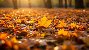 Otoño