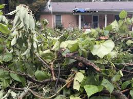 Gov. JB Pritzker declares disaster areas in McLean County and 14 other Illinois counties following severe storms and flooding; proclamation enables funding for recovery efforts.