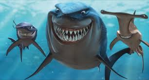 Image result for sharks
