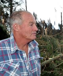 WHAT NEXT: Patea community board chairman David Honeyfield plans the cleanup of his shattered pine forest. - 6522862