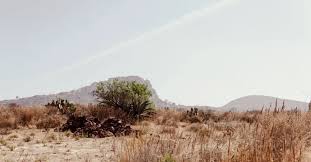 Red Dead Redemption 2 terá exploração do México em setembro