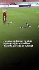 Jogadores deitam no campo após invasão de enxame de abelhas na Bahia