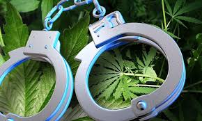Resultado de imagen de Legalization