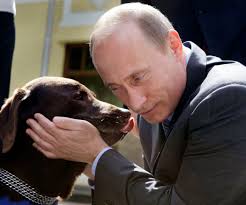 Image result for vladimir putin