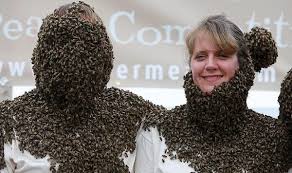Résultat de recherche d'images pour "covered in bees"