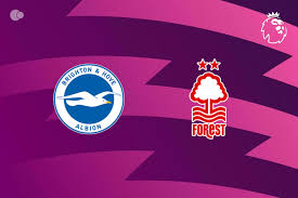 Brighton & Hove Albion x Nottingham Forest - Retrospecto, escalações e onde assistir