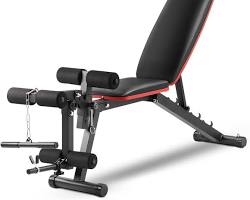 Image of Adjustable weight bench strength training equipment