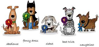 Résultat de recherche d'images pour "dog show"